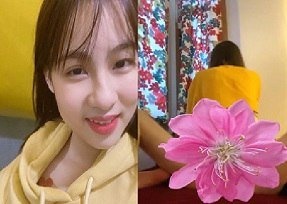 Em gái áo vàng xinh đẹp anh tìm mãi